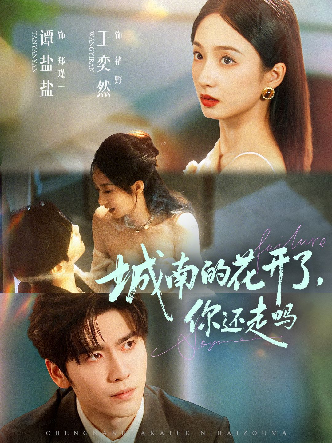 城南的花开了，你还走吗(全集)