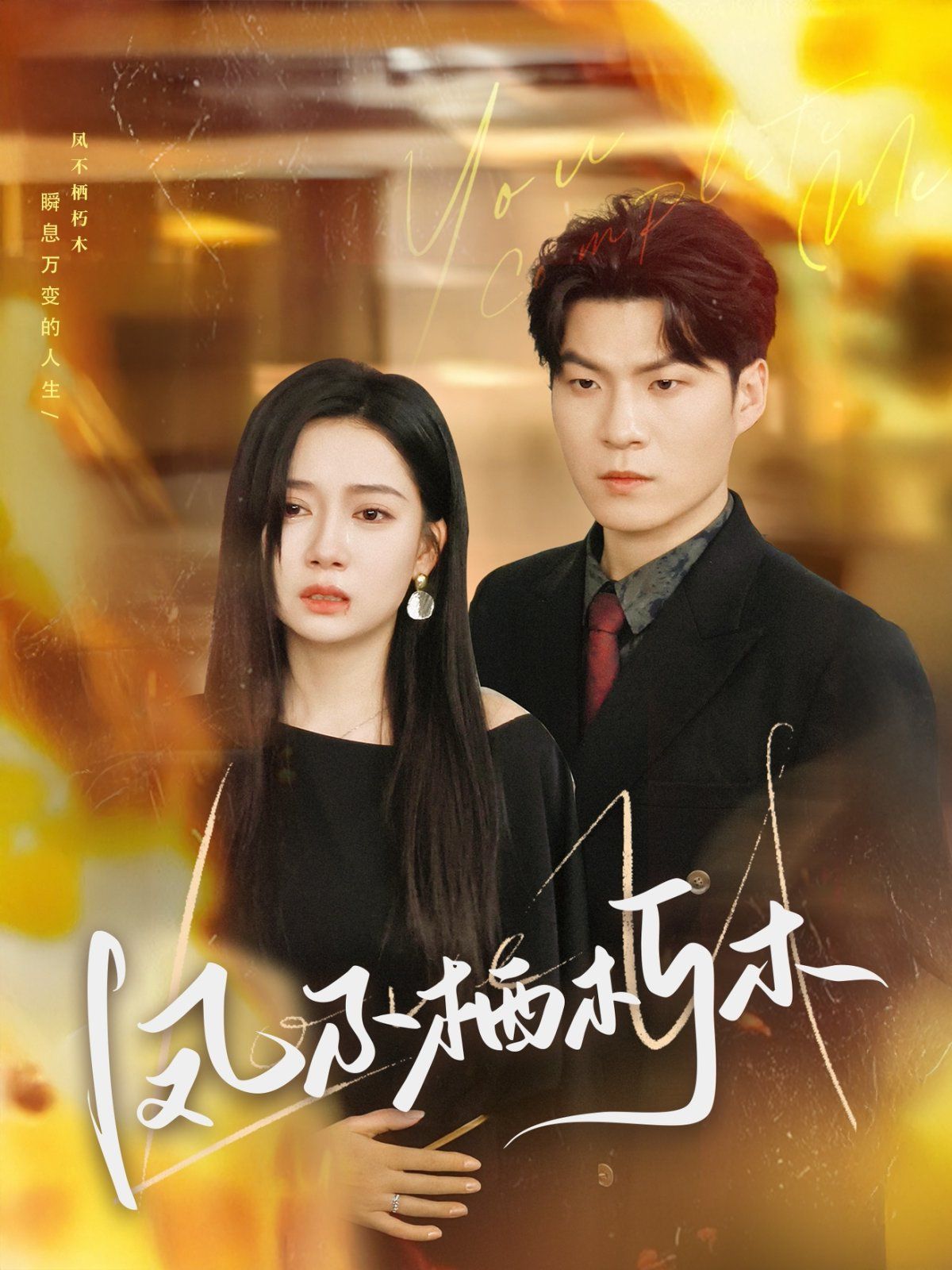 凤不栖朽木 第1-20集