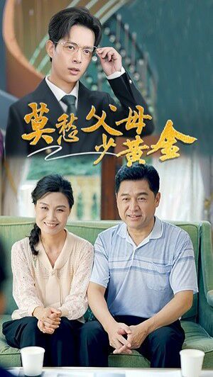 莫愁父母少黄金 第1-20集