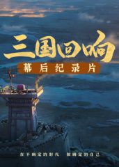 [三国回响]—[三国的星空第一部]幕后​